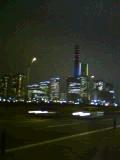 b0039517_12481.jpg