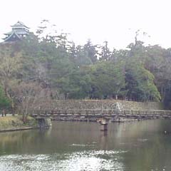c0036617_7243978.jpg