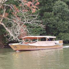 c0036617_7543764.jpg