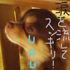 c0036617_813256.jpg