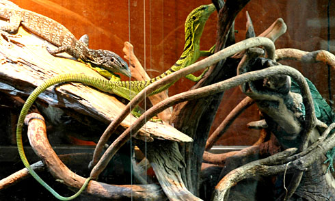 c0066827_13362166.jpg