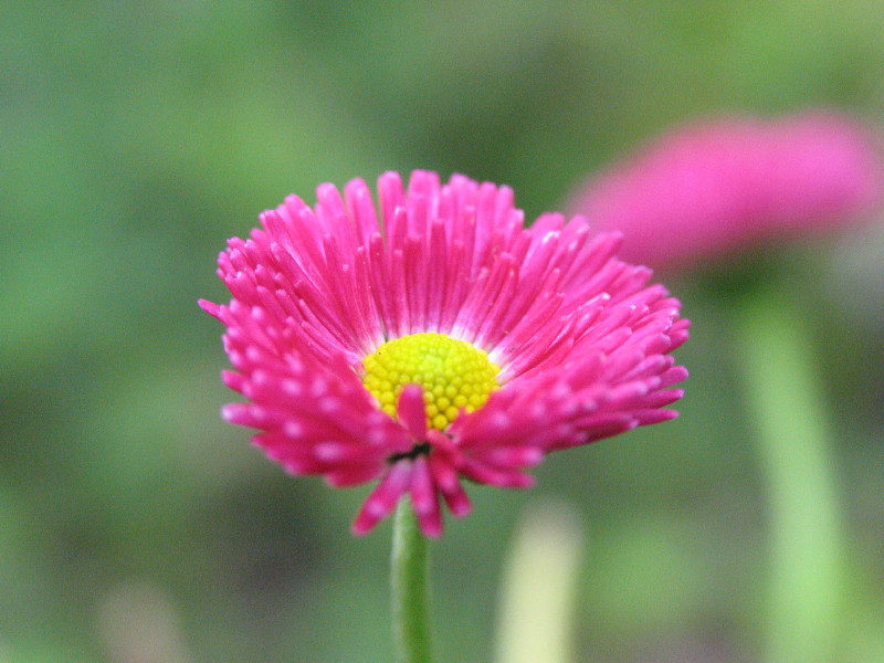 d0038630_22134627.jpg