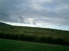 d0058734_8594970.jpg