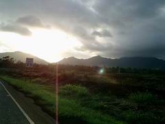 d0058734_911944.jpg