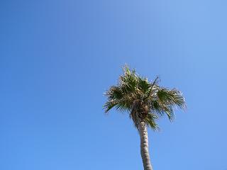 c0056237_2330719.jpg