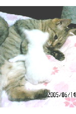 c0011446_231228.jpg