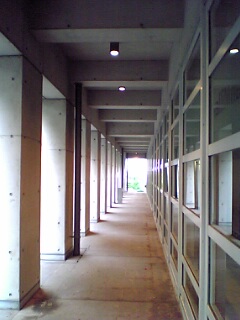 c0069552_8563790.jpg