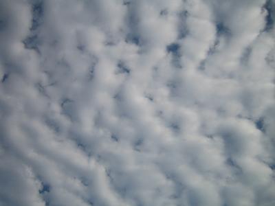 c0070968_215270.jpg
