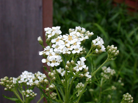 c0066891_2125457.jpg