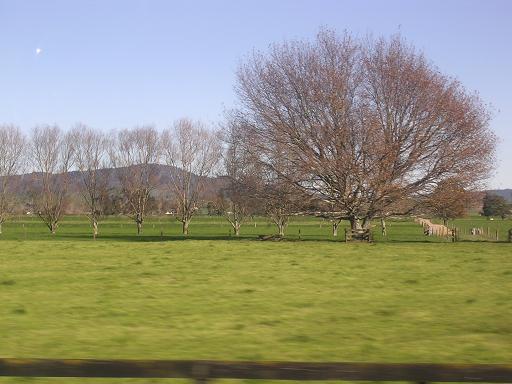c0048922_0155123.jpg