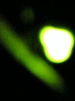c0011801_7471870.jpg