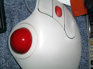 a0012319_2332356.jpg