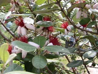 c0026824_11181340.jpg