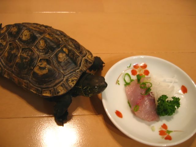 c0003036_23242014.jpg