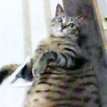 c0025840_1554553.jpg