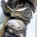c0025840_1555880.jpg