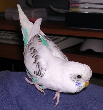 c0054148_1063590.jpg