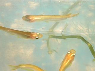 a0018200_119171.jpg