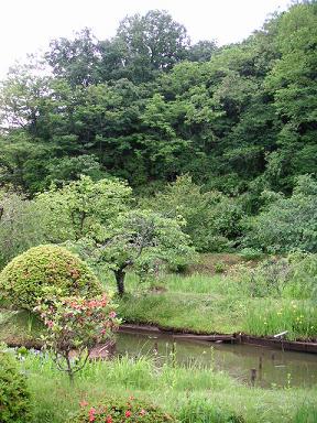 b0007421_21165391.jpg