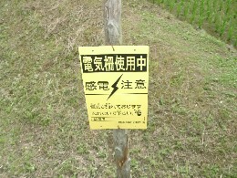 c0009528_23114536.jpg