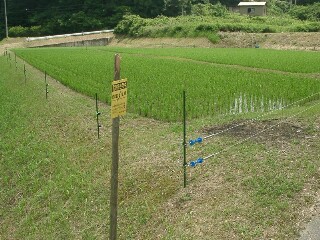c0009528_2312408.jpg