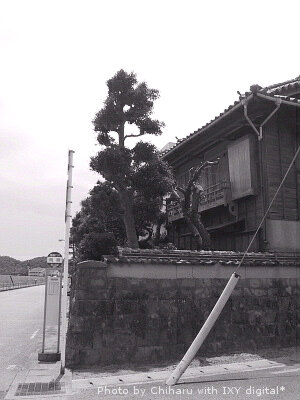 c0046340_1563878.jpg