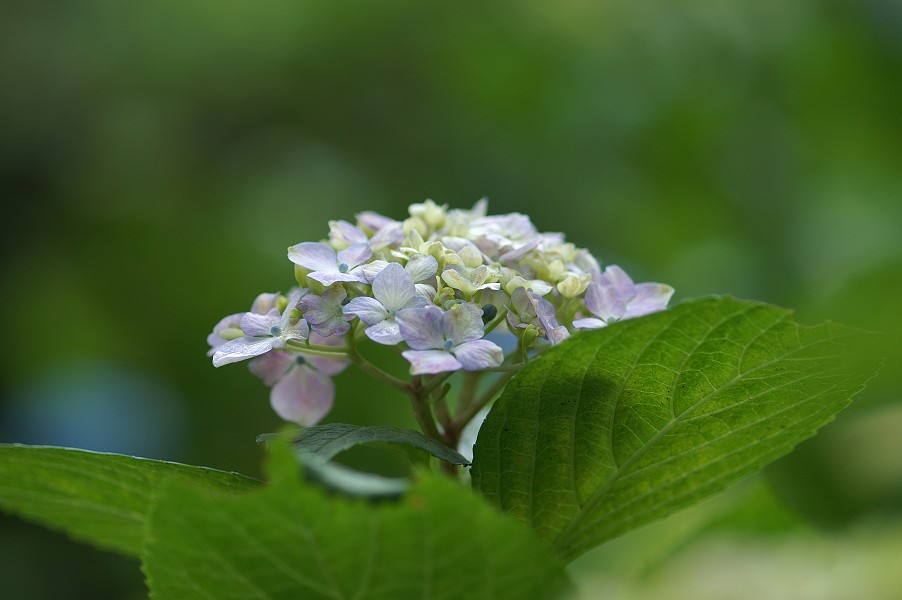 e0002371_17541062.jpg