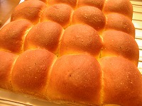 b0018986_2455415.jpg