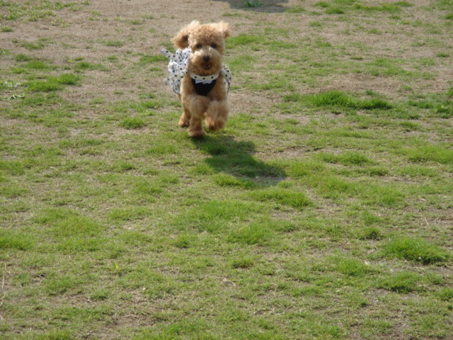 c0041207_11213446.jpg