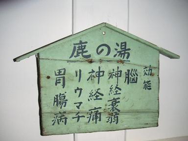 b0007421_137473.jpg