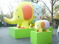 c0029649_0382021.jpg