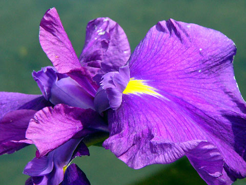 a0024250_145828.jpg