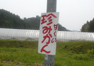 d0013854_15013100.jpg