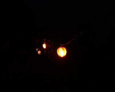 b0015260_1042455.jpg