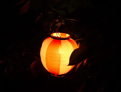 b0015260_104513.jpg