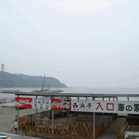 c0062361_21445613.gif