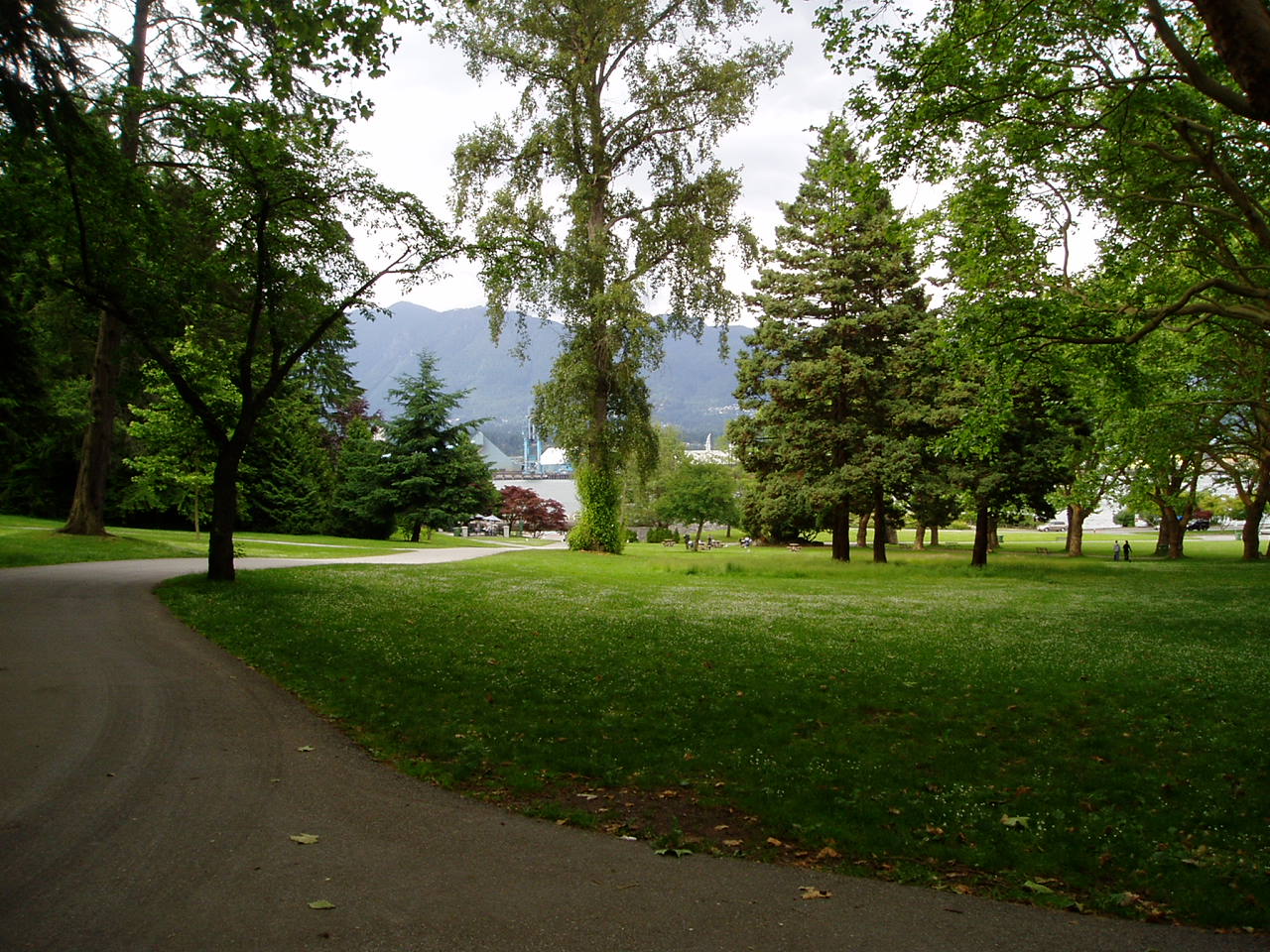 c0073161_1647618.jpg