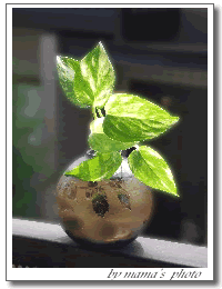 b0060071_1111330.gif