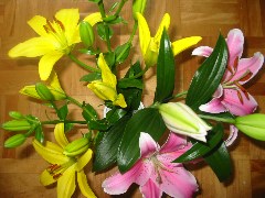 b0039373_11463241.jpg