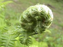 b0011185_2155115.jpg