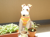 c0023304_23101185.jpg