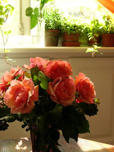 a0022917_1730169.jpg