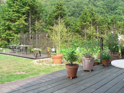 b0054330_8352750.jpg