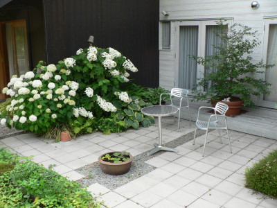 b0054330_8475191.jpg