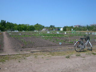 e0004756_20593615.jpg