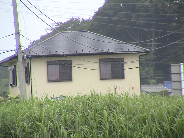 b0061261_21513036.jpg