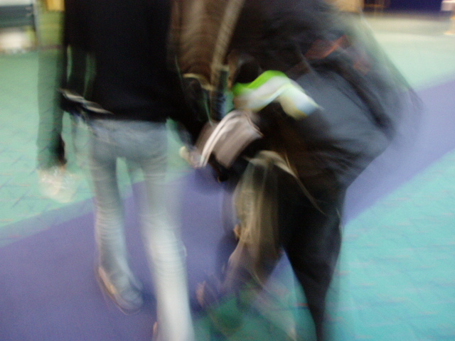 c0073161_16435763.jpg