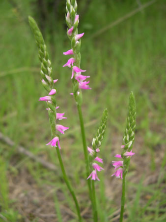 b0049363_1565017.jpg