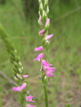 b0049363_1571078.jpg