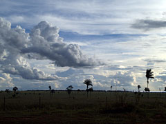 c0008664_9171376.jpg